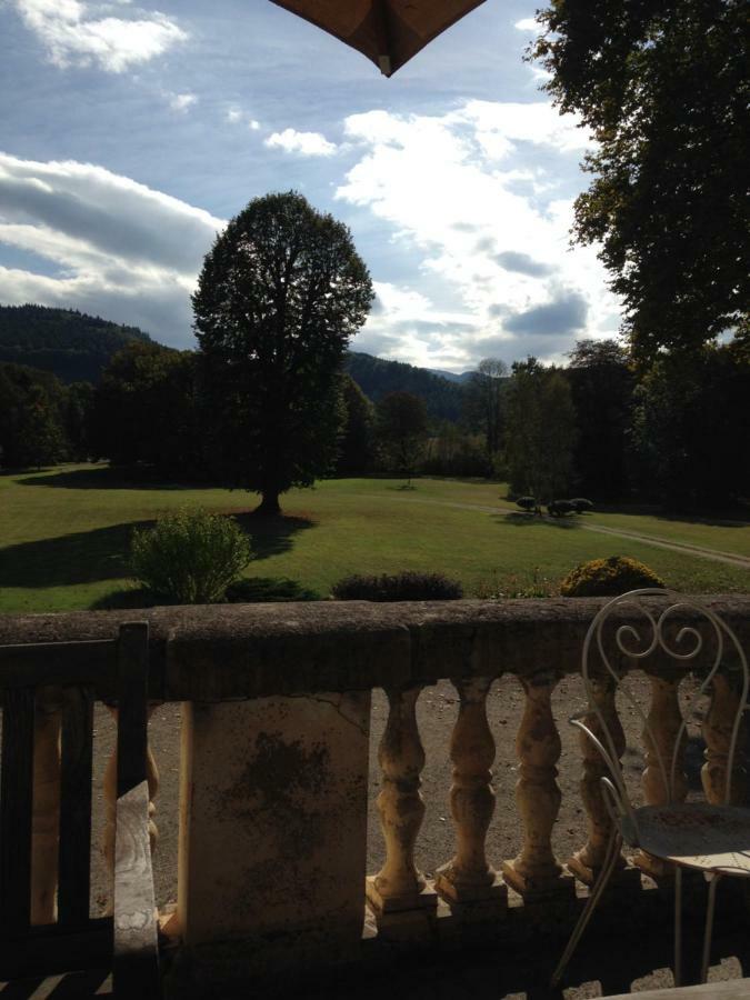 Chateau Du Val Larbont La Bastide-de-Sérou Exterior foto